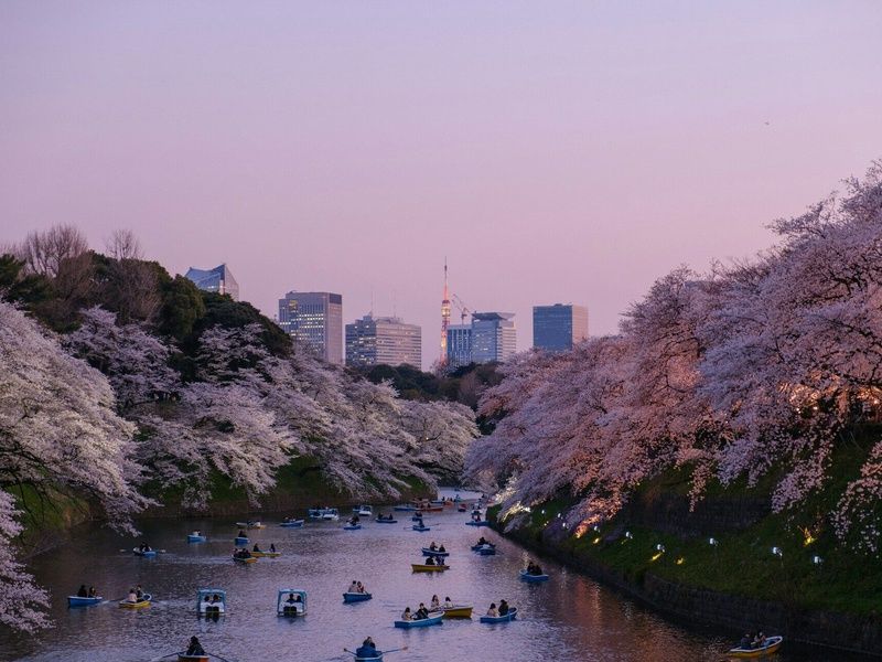 Combiné Séoul Tokyo : Japon & Corée du Sud en 3* ou 4* pas cher photo 15