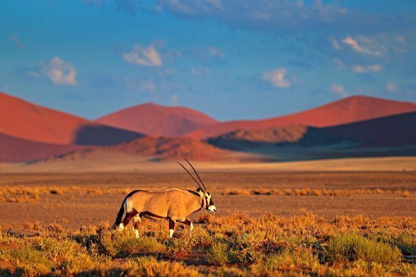 Splendeurs de Namibie et Séjour Chobe et Chutes Victoria 16J/13N pas cher photo 11