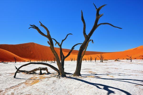 Splendeurs de Namibie et Séjour Chobe et Chutes Victoria 16J/13N pas cher photo 12