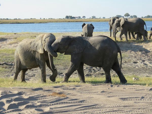 Splendeurs de Namibie et Séjour Chobe et Chutes Victoria 16J/13N pas cher photo 18