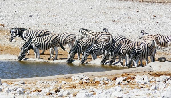 Merveilles de Namibie & Séjour Chutes Victoria 17J/14N - 2026 - Limité à 8 pers./véhicule pas cher photo 7