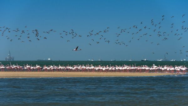 Circuit Merveilles de Namibie et Séjour Chobe et Chutes Victoria 18J/15N pas cher photo 8