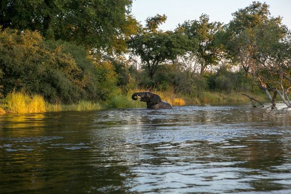 Circuit Merveilles de Namibie et Séjour Chobe et Chutes Victoria 18J/15N pas cher photo 20