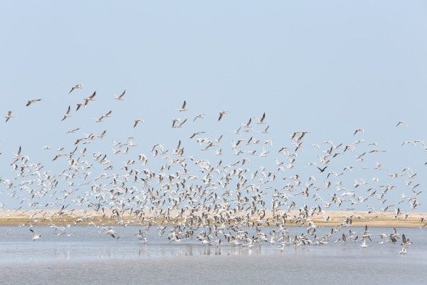 Circuit Les Oasis du Sénégal pas cher photo 15