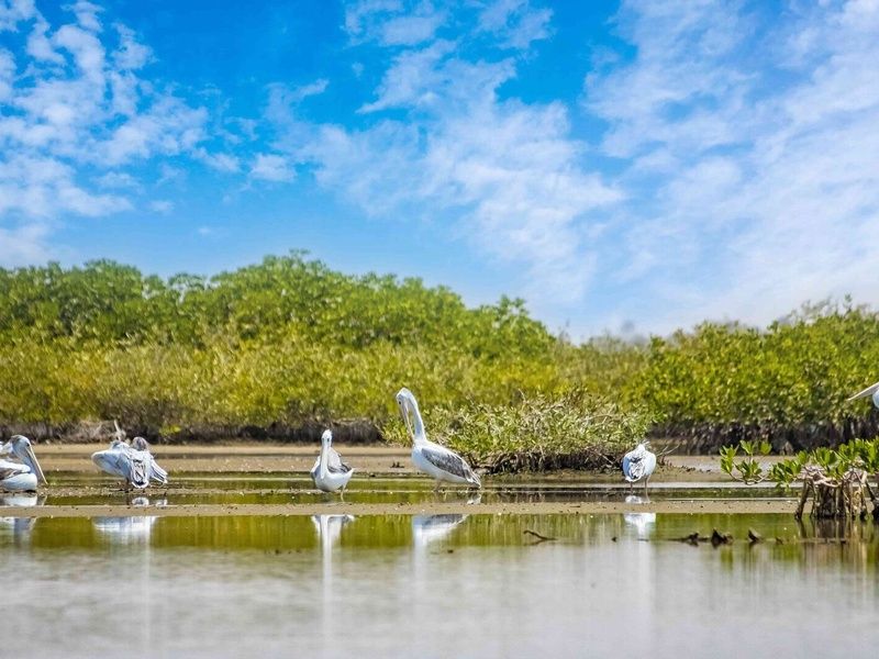 Découverte du Sénégal - 9J/7N - Départ les samedis - 2026 pas cher photo 5