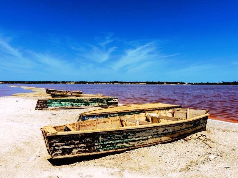 Découverte du Sénégal - 9J/7N - Départ les samedis - 2026 pas cher photo 8