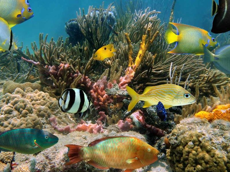 Mini decouverte du Yucatan en voiture et extension balneaire pas cher photo 8