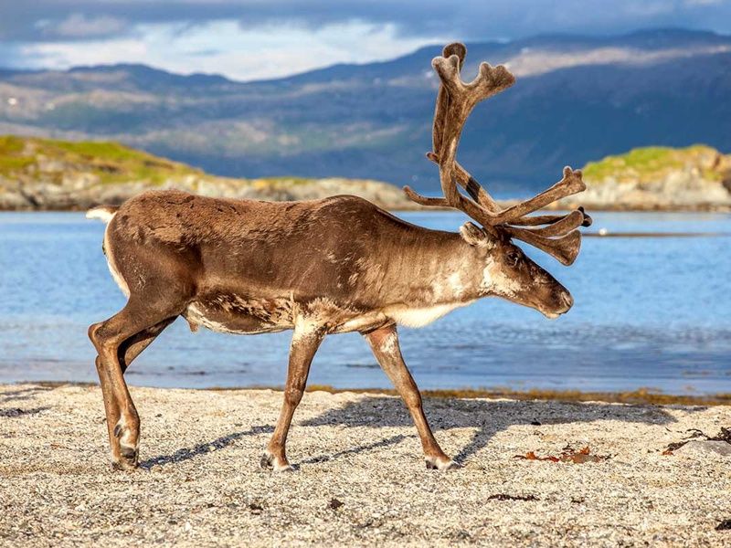 Circuit Magie des Trolls - Budget malin pas cher photo 9