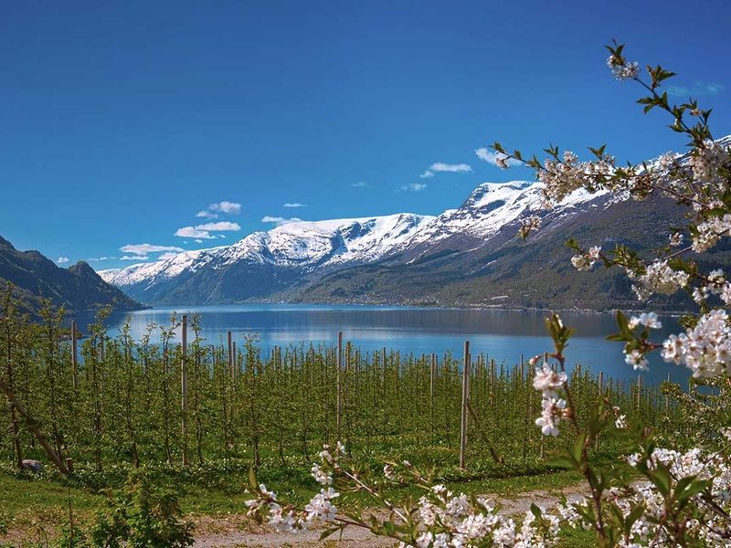 Circuit Magie des Trolls - Budget malin pas cher photo 11