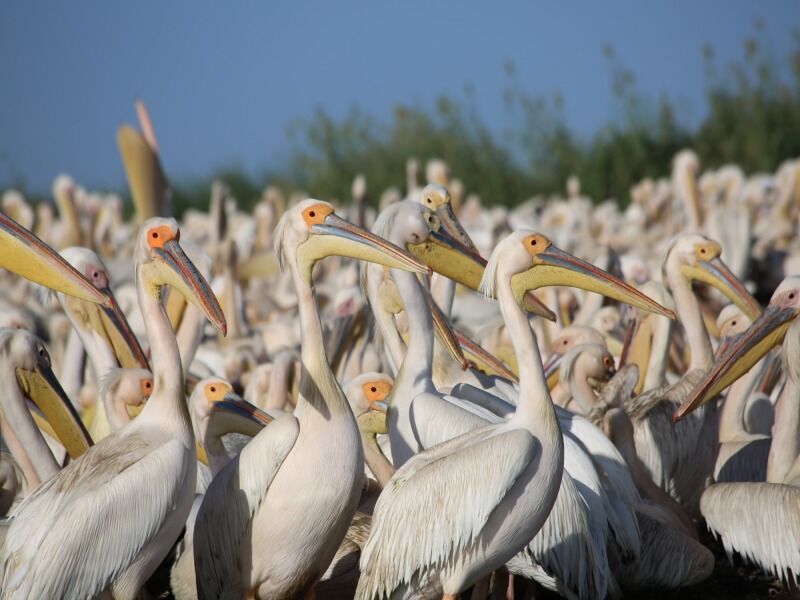 Découverte du Sénégal - De Dakar à Dakar pas cher photo 4