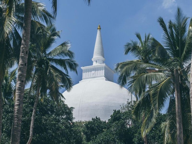 Circuit Privatif - Beautés Cachées du Sri Lanka pas cher photo 7