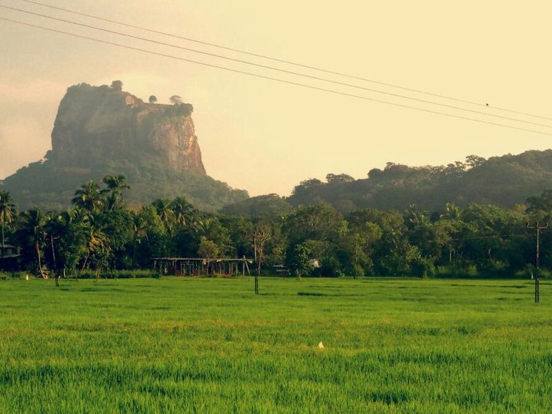 Circuit Privatif - Beautés Cachées du Sri Lanka pas cher photo 19