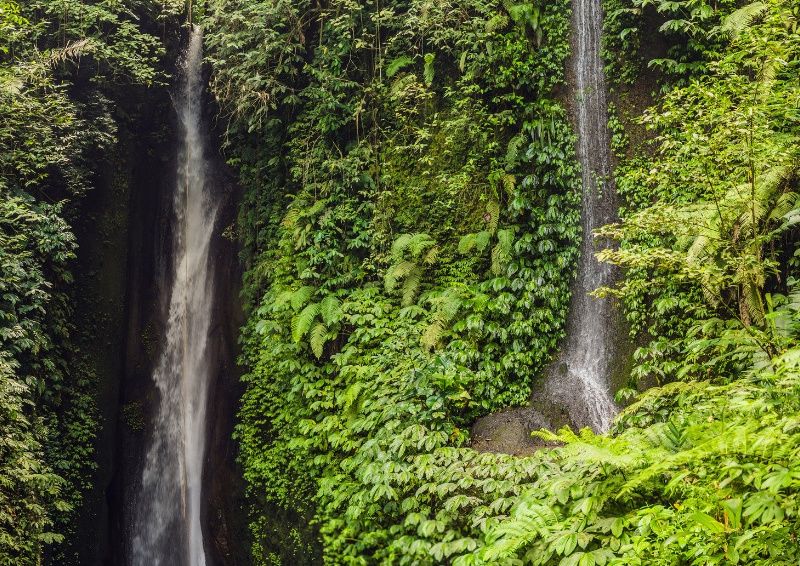 Circuit Privatif - Echappée Balinaise pas cher photo 10