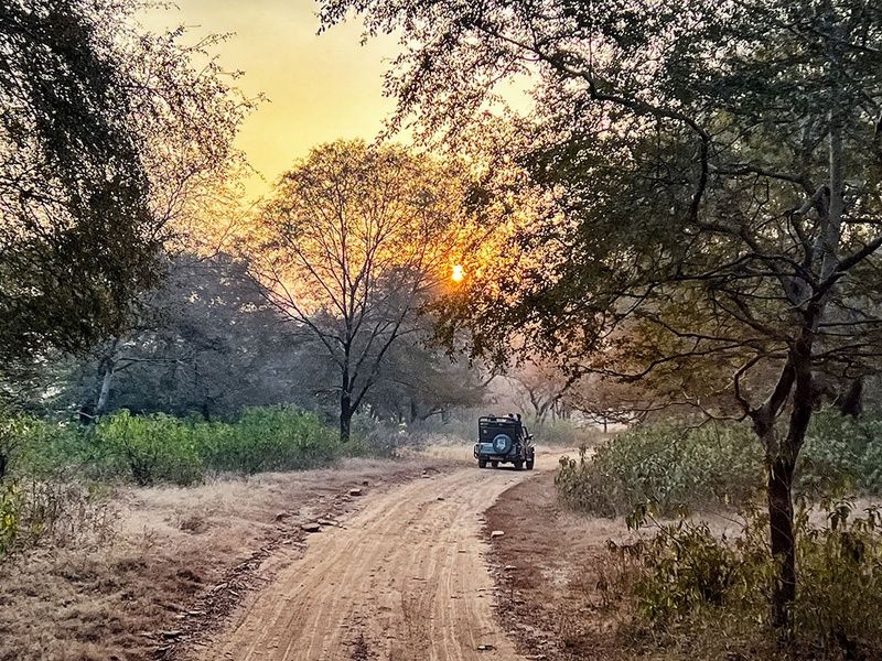 Circuit privé Secrets du Rajasthan option 4 étoiles pas cher photo 10