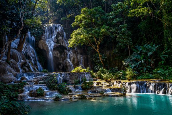 Circuit Lotus du Laos pas cher photo 5