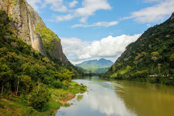 Circuit Lotus du Laos pas cher photo 6