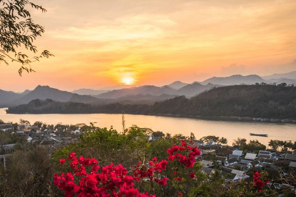 Circuit Lotus du Laos pas cher photo 10