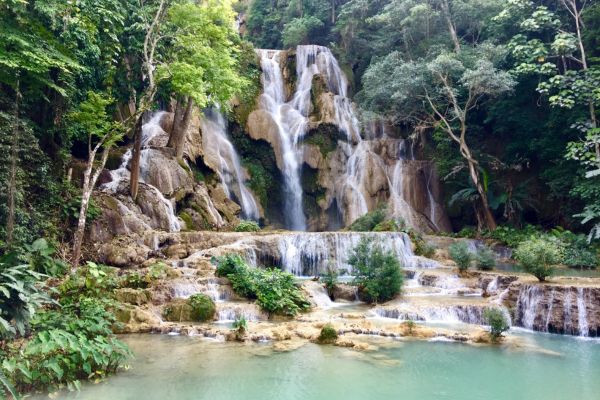 Circuit Lotus du Laos pas cher photo 11