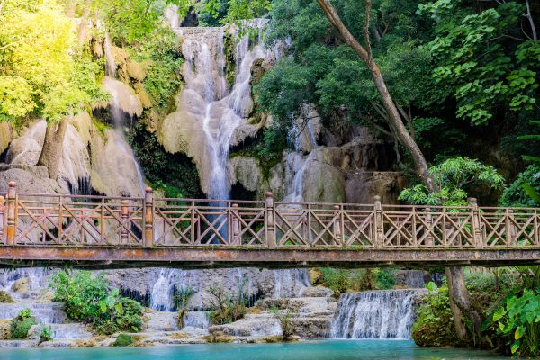 Circuit Lotus du Laos pas cher photo 12