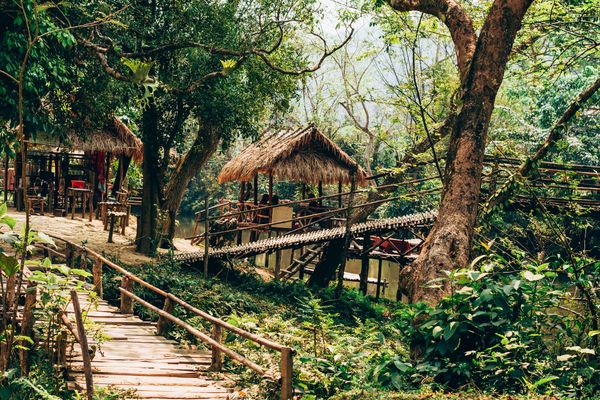 Circuit Lotus du Laos pas cher photo 14