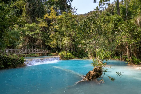 Circuit Lotus du Laos pas cher photo 18