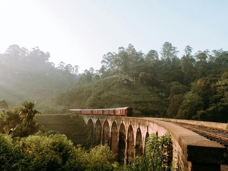 Circuit Privatif - Trésors du Nord et de l'Est du Sri Lanka pas cher photo 12