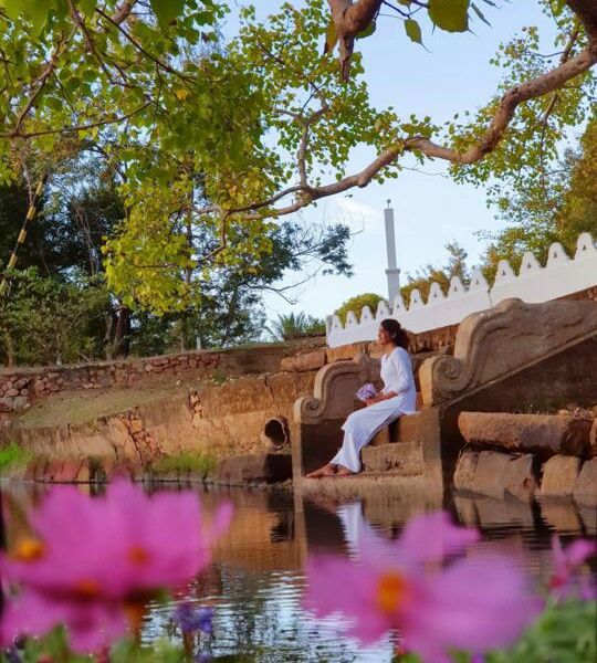 Circuit Privatif - Trésors du Nord et de l'Est du Sri Lanka pas cher photo 17