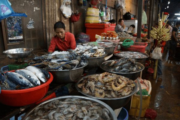 Circuit Lotus du Cambodge et plage à Kep pas cher photo 2