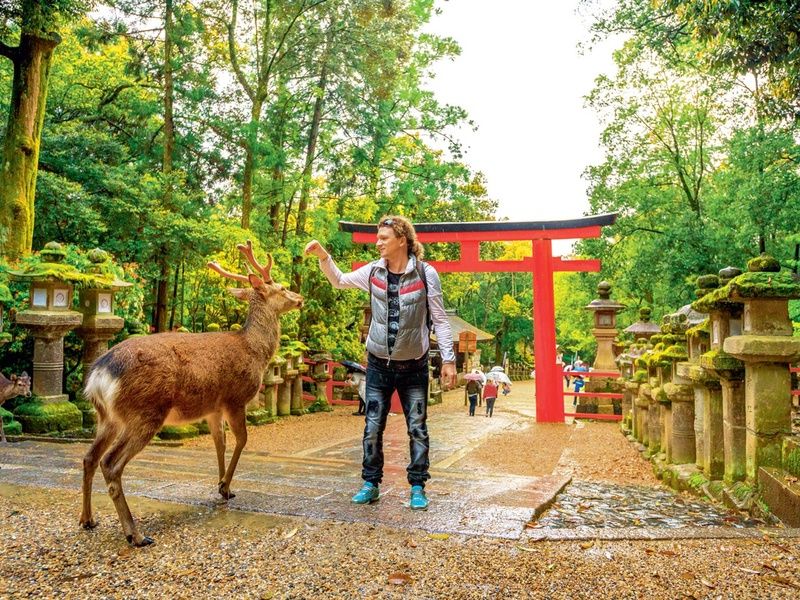 Circuit Japon Tokaïdo pas cher photo 4