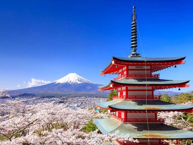 Circuit Japon Tokaïdo pas cher photo 3