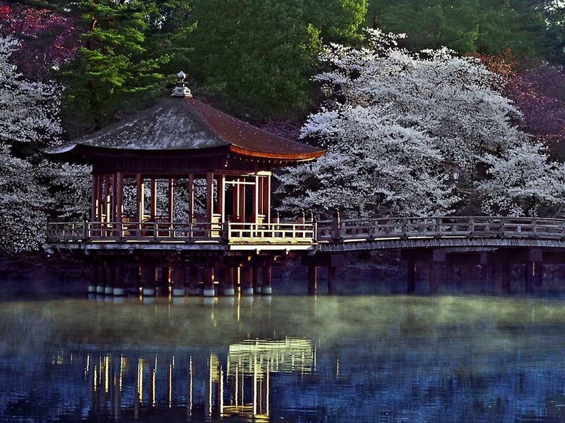 Circuit Japon Tokaïdo pas cher photo 6