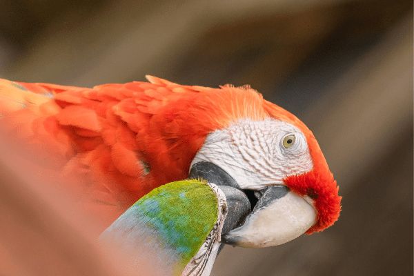 Circuit Equateur Authentique pas cher photo 19