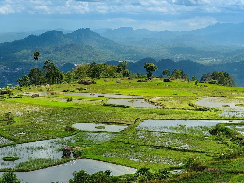 Circuit Découverte de l'Indonésie pas cher photo 14