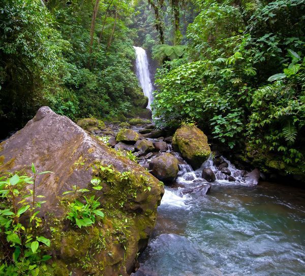 Circuit Explorations du Costa Rica pas cher photo 4