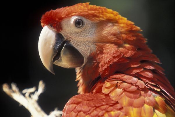 Circuit Chemins Sacrés du Guatemala pas cher photo 4