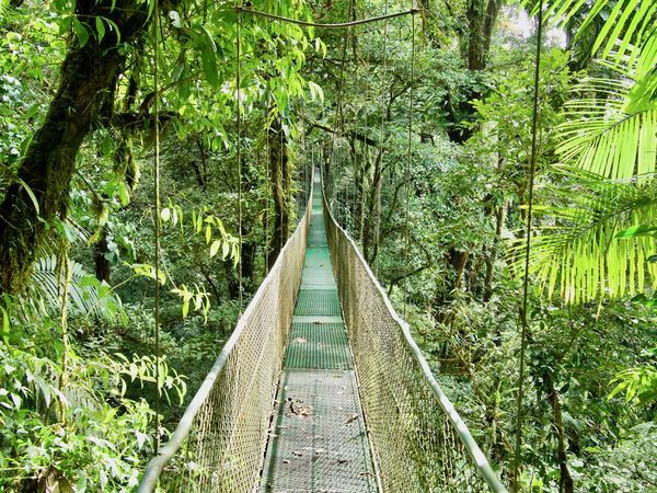 Circuit Immersion au Costa Rica et Région de Manuel Antonio, Pacifique Central pas cher photo 7
