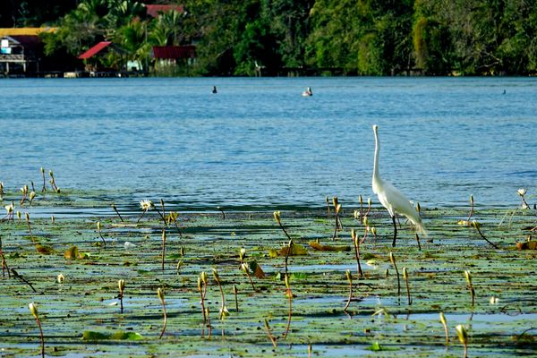 Circuit Guatemala, Sur la Piste du Quetzal et Belize pas cher photo 12