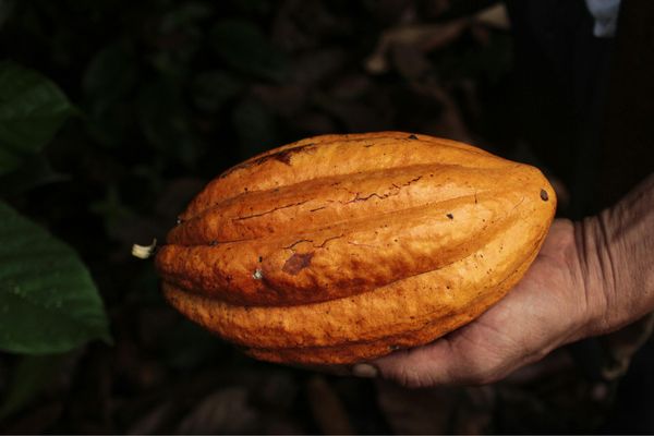 Circuit Guatemala, Sur la Piste du Quetzal et Belize pas cher photo 18