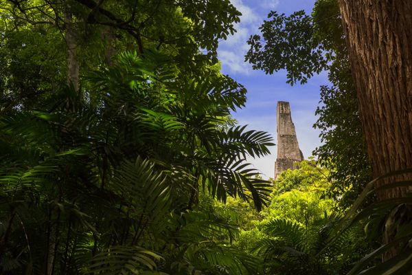 Circuit Guatemala, Sur la Piste du Quetzal et Belize pas cher photo 24