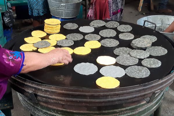 Circuit Guatemala, Sur la Piste du Quetzal et Belize pas cher photo 29