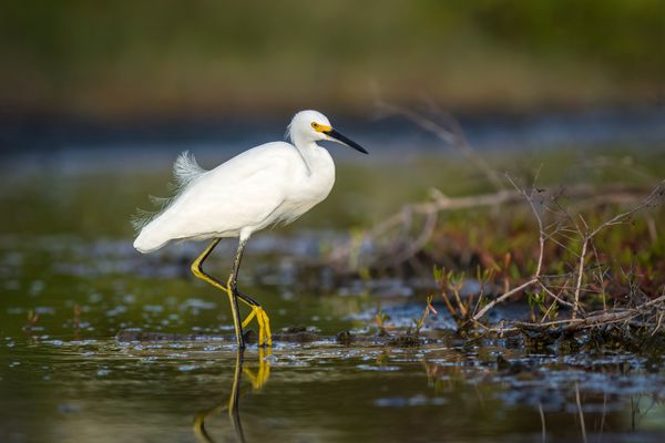 Circuit Guatemala, Sur la Piste du Quetzal et Belize pas cher photo 41