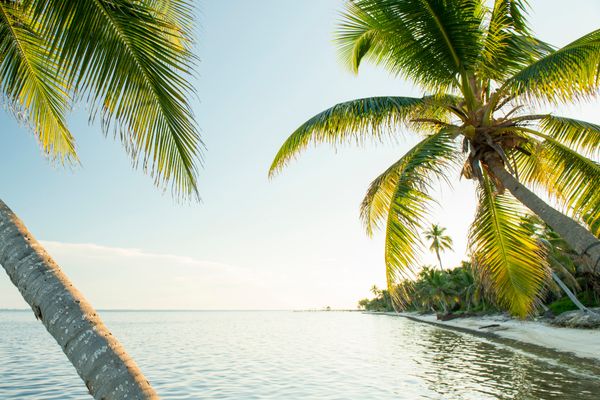 Circuit Guatemala, Sur la Piste du Quetzal et Belize pas cher photo 42