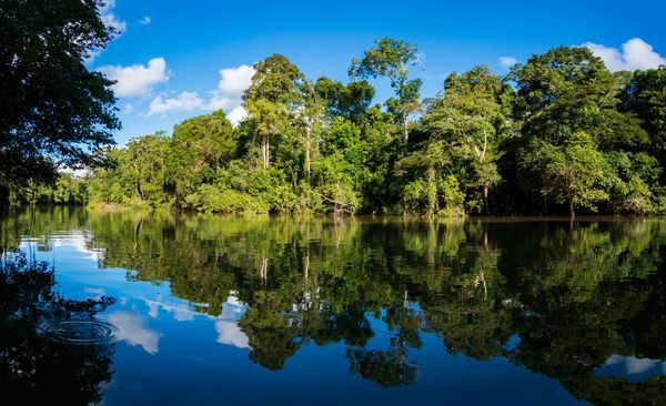 Circuit Splendeurs du Brésil et Séjour Amazonie pas cher photo 11