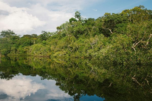 Circuit Splendeurs du Brésil et Séjour Amazonie pas cher photo 14