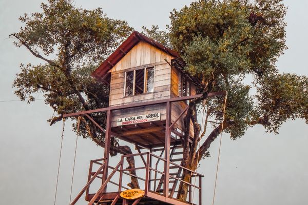 Circuit Equateur et Galapagos Authentiques pas cher photo 6