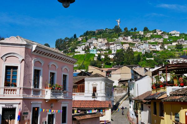 Circuit Equateur et Galapagos Authentiques pas cher photo 16