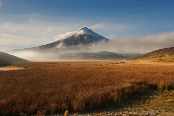 Circuit Equateur et Galapagos Authentiques pas cher photo 21
