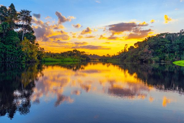 Circuit Equateur et Galapagos Authentiques pas cher photo 26