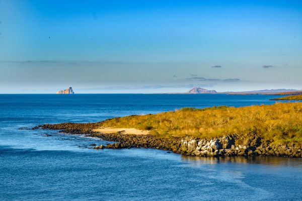 Circuit Equateur et Galapagos Authentiques pas cher photo 27