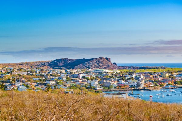 Circuit Equateur et Galapagos Authentiques pas cher photo 29